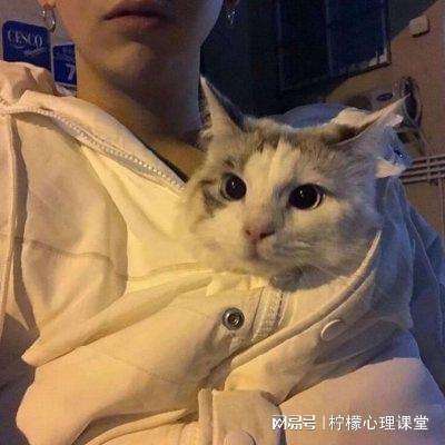 尽头的巴别塔手游下载